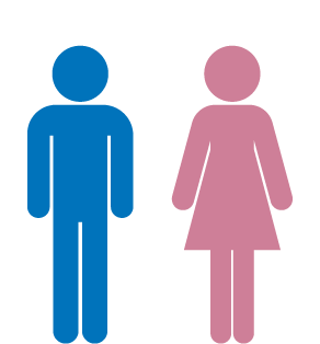 男女平等に活躍しています。