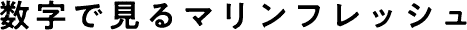 数字で見るマリンフレッシュ